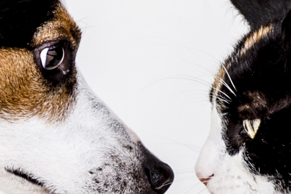 Cosmética Integral PRO8