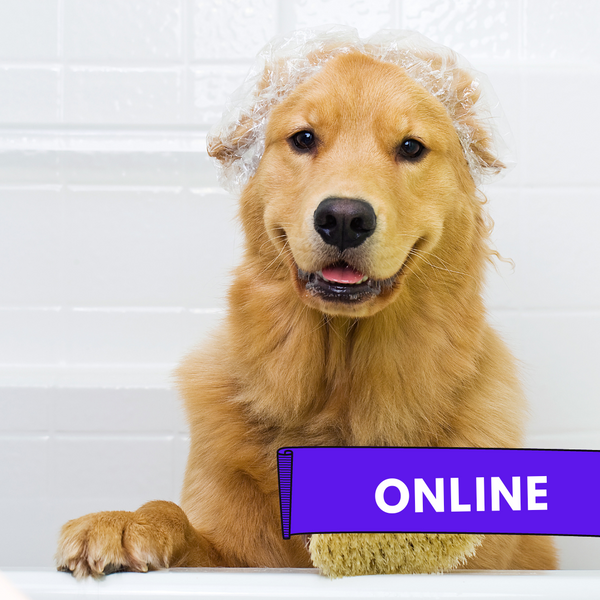 CURSO COSMETICA VETERINARIA NATURAL ONLINE